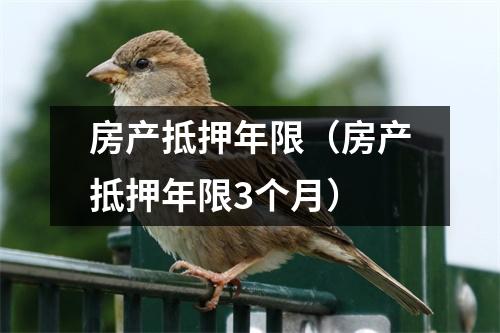 房产抵押年限（房产抵押年限3个月）