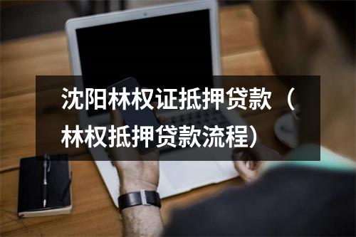 沈阳林权证抵押贷款（林权抵押贷款流程）