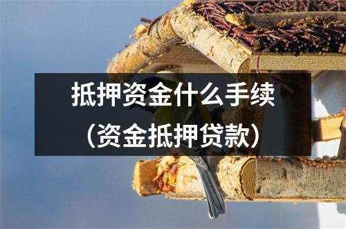 抵押资金什么手续（资金抵押贷款）