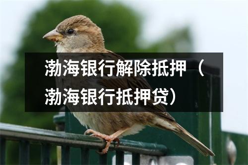 渤海银行解除抵押（渤海银行抵押贷）