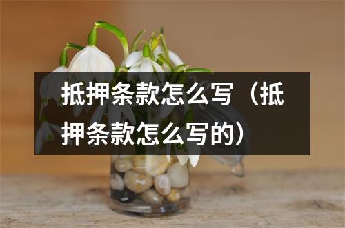 抵押条款怎么写（抵押条款怎么写的）