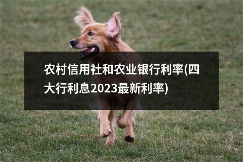 农村信用社和农业银行利率(四大行利息2023最新利率)