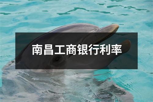 南昌工商银行利率