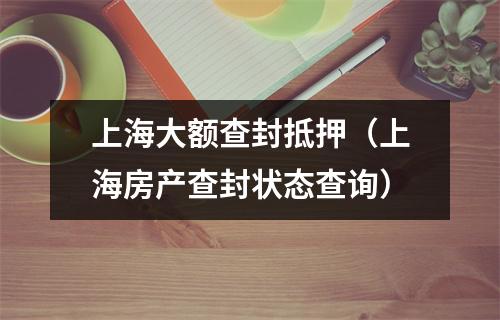 上海大额查封抵押（上海房产查封状态查询）