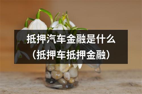 抵押汽车金融是什么（抵押车抵押金融）