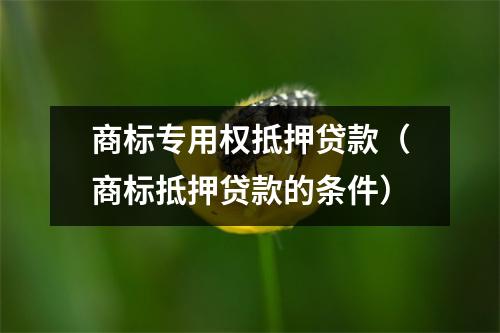 商标专用权抵押贷款（商标抵押贷款的条件）