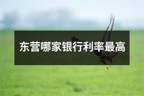 东营哪家银行利率最高