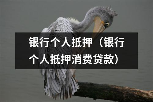 银行个人抵押（银行个人抵押消费贷款）