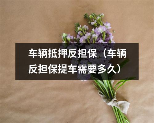 车辆抵押反担保（车辆反担保提车需要多久）