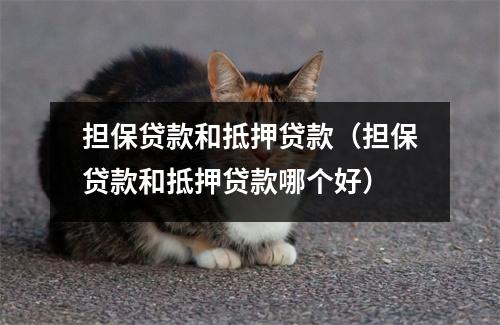 担保贷款和抵押贷款（担保贷款和抵押贷款哪个好）