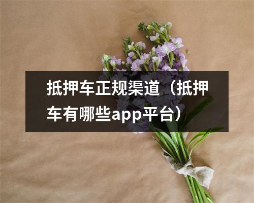 抵押车正规渠道（抵押车有哪些app平台）