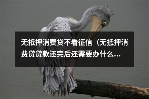 无抵押消费贷不看征信（无抵押消费贷贷款还完后还需要办什么手续）