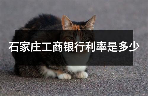 石家庄工商银行利率是多少