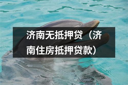 济南无抵押贷（济南住房抵押贷款）