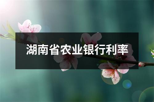 湖南省农业银行利率