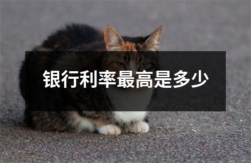银行利率最高是多少