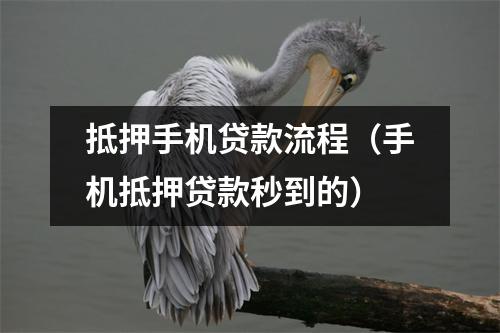 抵押手机贷款流程（手机抵押贷款秒到的）