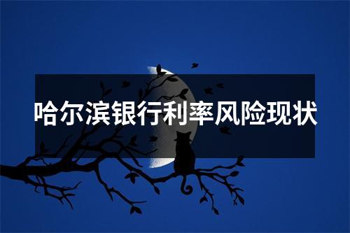 哈尔滨银行利率风险现状