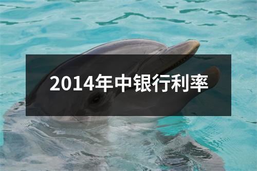 2014年中银行利率