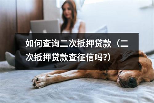 如何查询二次抵押贷款（二次抵押贷款查征信吗?）