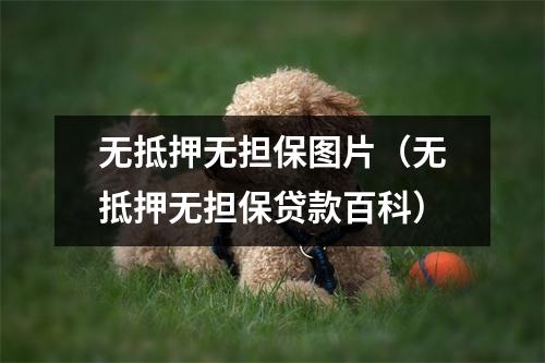 无抵押无担保图片（无抵押无担保贷款百科）