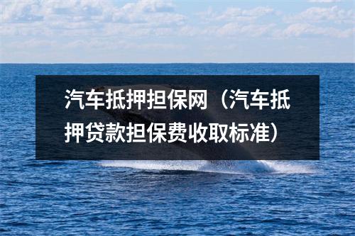 汽车抵押担保网（汽车抵押贷款担保费收取标准）
