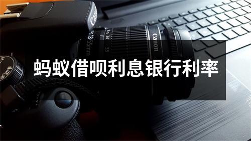 蚂蚁借呗利息银行利率