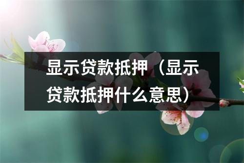 显示贷款抵押（显示贷款抵押什么意思）