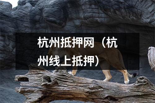 杭州抵押网（杭州线上抵押）