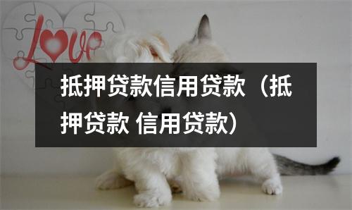 抵押贷款信用贷款（抵押贷款 信用贷款）