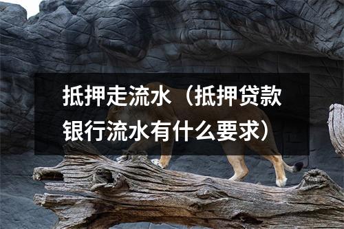 抵押走流水（抵押贷款银行流水有什么要求）