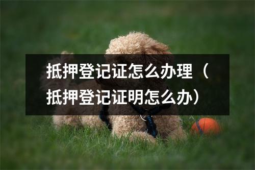 抵押登记证怎么办理（抵押登记证明怎么办）