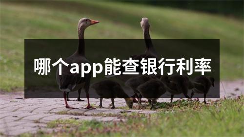 哪个app能查银行利率