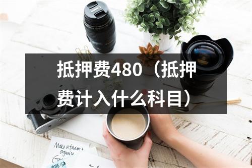 抵押费480(抵押费计入什么科目)
