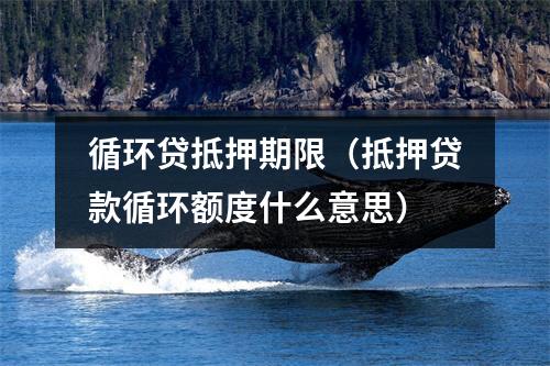 循环贷抵押期限(抵押贷款循环额度什么意思)