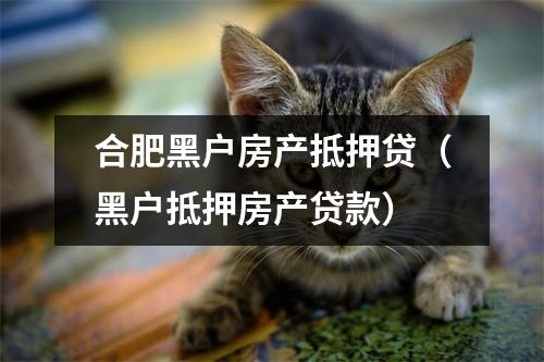 合肥黑户房产抵押贷（黑户抵押房产贷款）