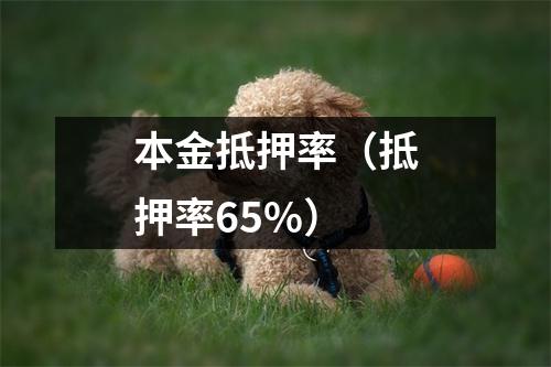 本金抵押率（抵押率65%）