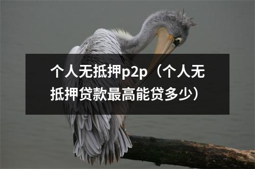 个人无抵押p2p（个人无抵押贷款最高能贷多少）
