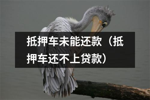 抵押车未能还款（抵押车还不上贷款）
