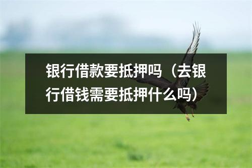 银行借款要抵押吗（去银行借钱需要抵押什么吗）