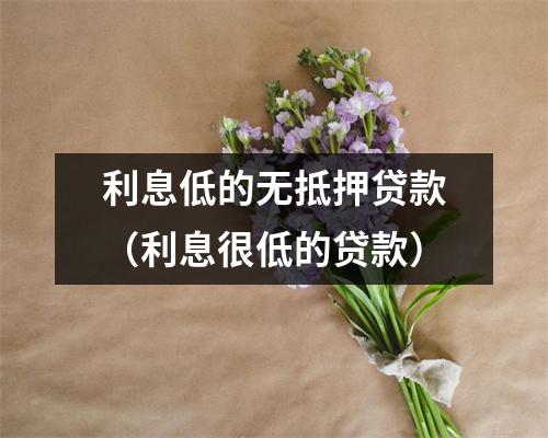 利息低的无抵押贷款（利息很低的贷款）