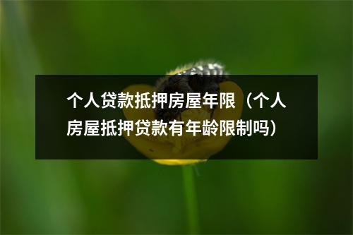 个人贷款抵押房屋年限（个人房屋抵押贷款有年龄限制吗）