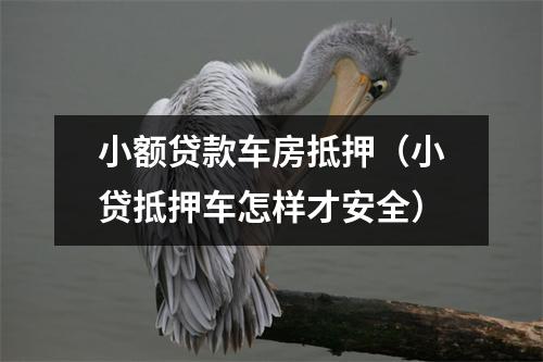 小额贷款车房抵押（小贷抵押车怎样才安全）