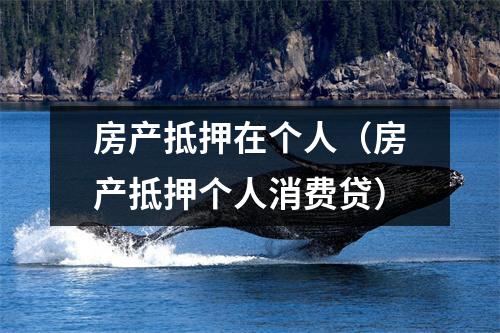 房产抵押在个人（房产抵押个人消费贷）