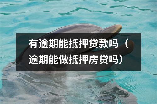 有逾期能抵押贷款吗（逾期能做抵押房贷吗）