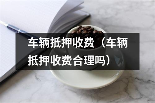 车辆抵押收费（车辆抵押收费合理吗）