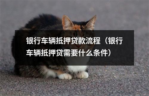 银行车辆抵押贷款流程（银行车辆抵押贷需要什么条件）