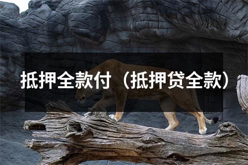 抵押全款付（抵押贷全款）