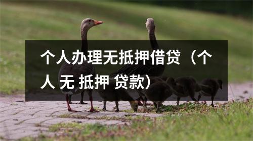 个人办理无抵押借贷（个人 无 抵押 贷款）