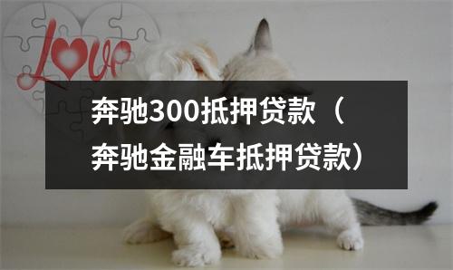 奔驰300抵押贷款（奔驰金融车抵押贷款）